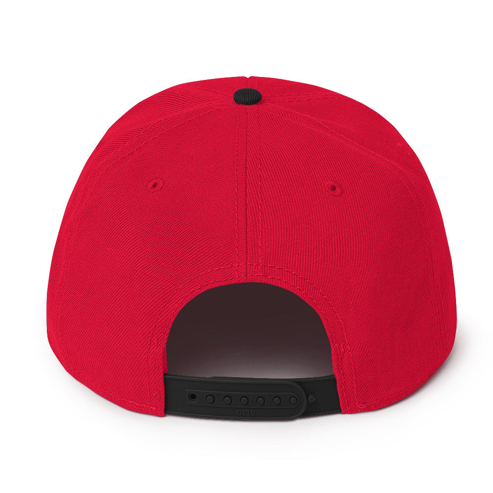 Darkstalkers Snapback Hat