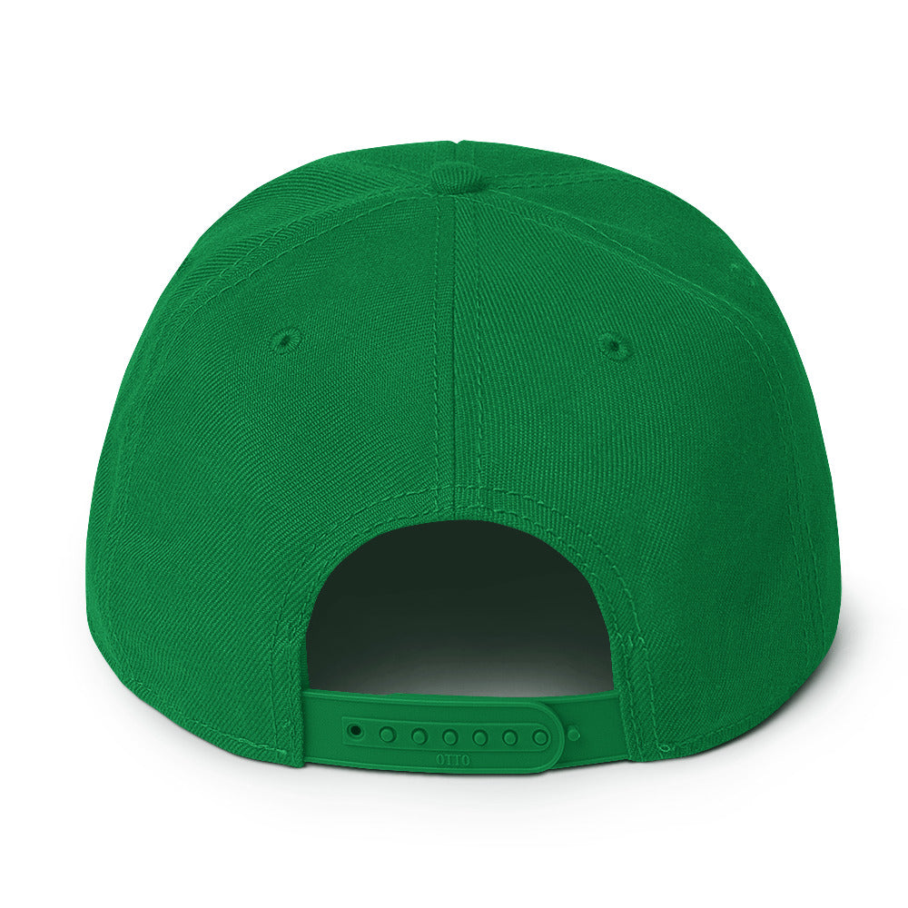 Darkstalkers Snapback Hat
