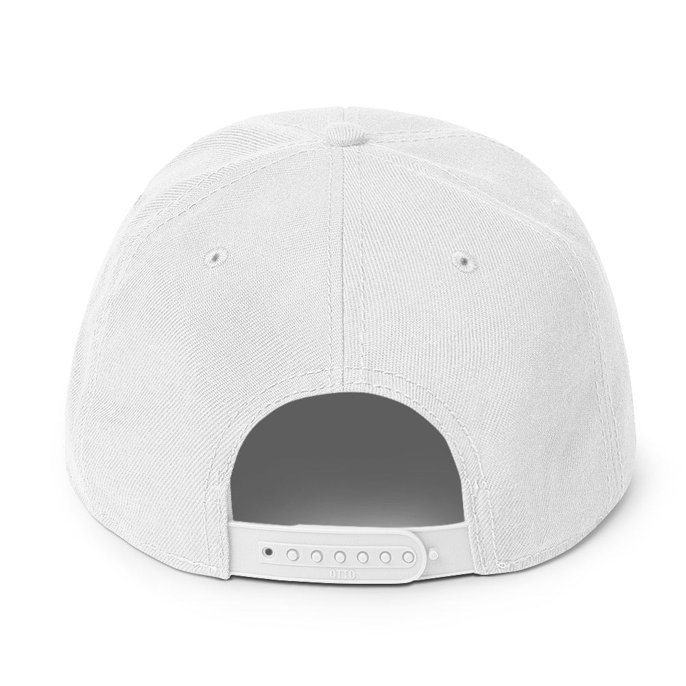 Darkstalkers Snapback Hat