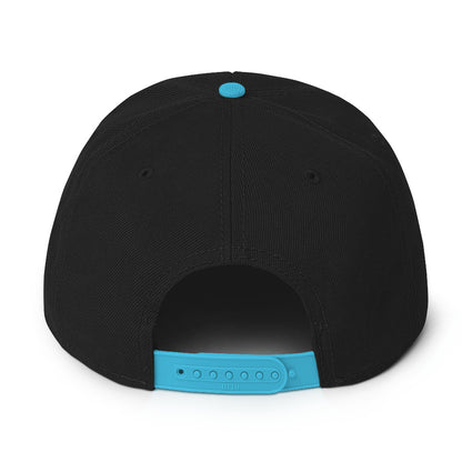 DS Snapback Hat 2