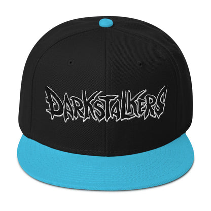 DS Snapback Hat 2