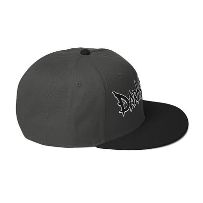 DS Snapback Hat 2