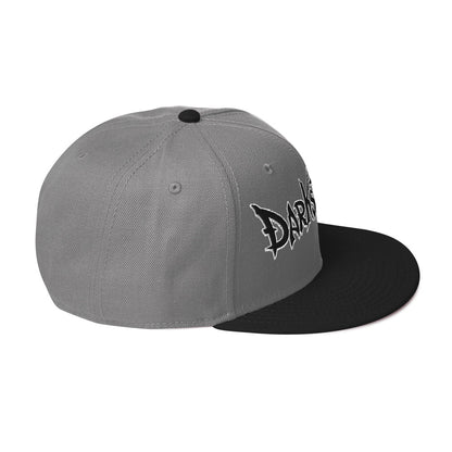 DS Snapback Hat 2