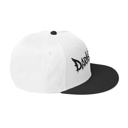 DS Snapback Hat 2