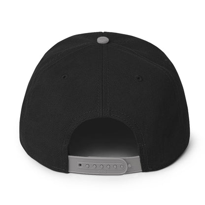 DS Snapback Hat 2