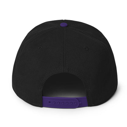 DS Snapback Hat 2