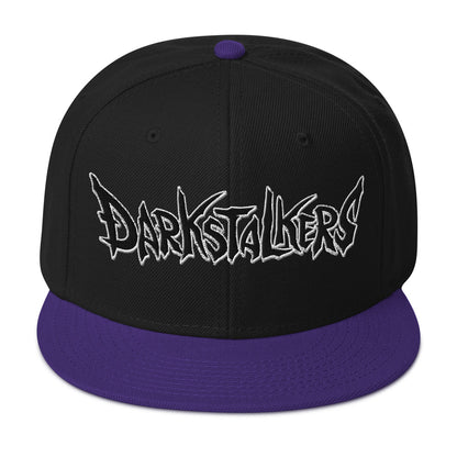 DS Snapback Hat 2