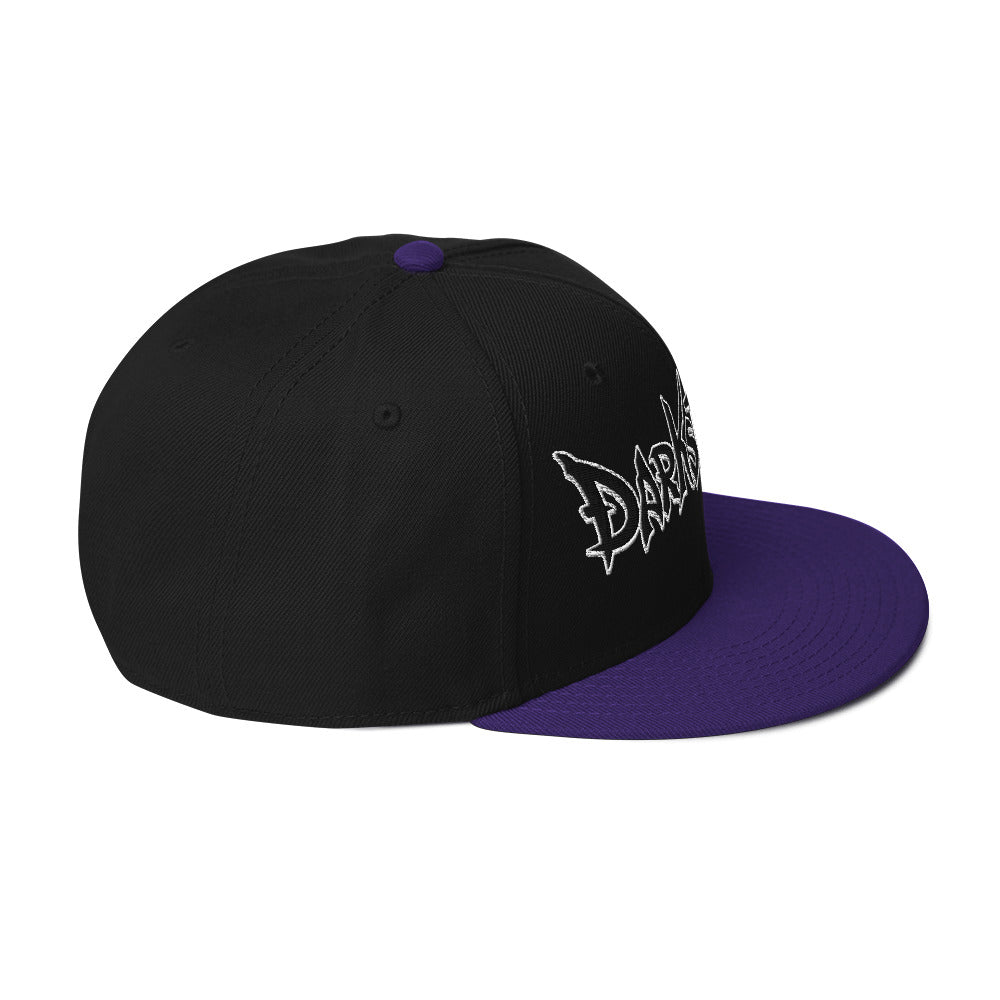 DS Snapback Hat 2