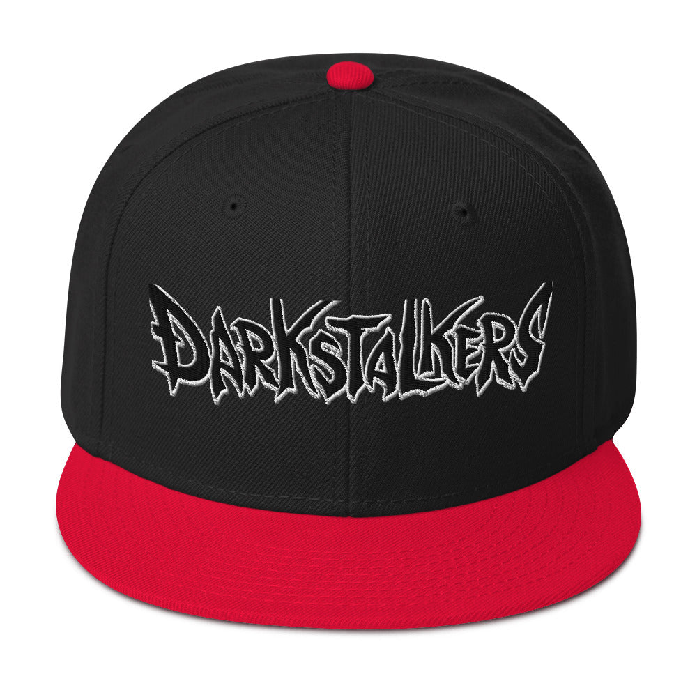 DS Snapback Hat 2