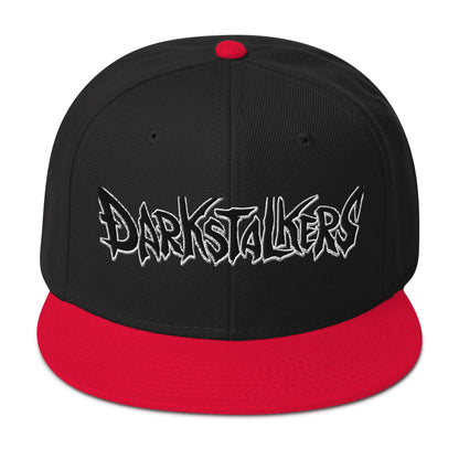 DS Snapback Hat 2